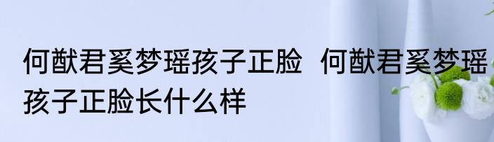 何猷君奚梦瑶孩子正脸  	何猷君奚梦瑶孩子正脸长什么样