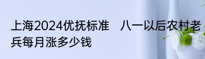 上海2024优抚标准   八一以后农村老兵每月涨多少钱