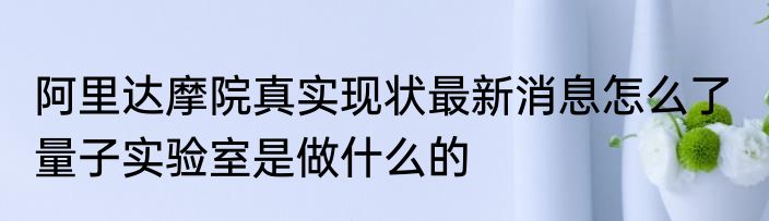 阿里达摩院真实现状最新消息怎么了  量子实验室是做什么的