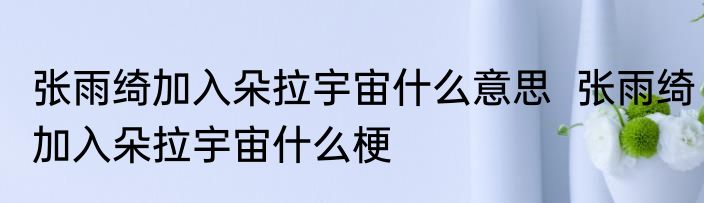 张雨绮加入朵拉宇宙什么意思  	张雨绮加入朵拉宇宙什么梗