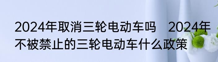 2024年取消三轮电动车吗   2024年不被禁止的三轮电动车什么政策