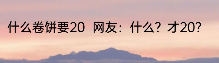 什么卷饼要20  网友：什么？才20？