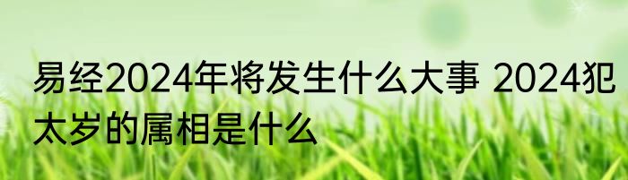 易经2024年将发生什么大事 2024犯太岁的属相是什么