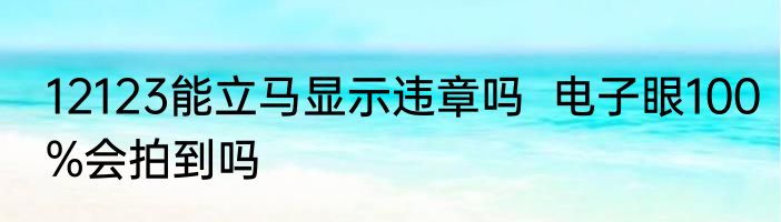 12123能立马显示违章吗  电子眼100%会拍到吗