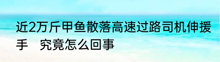 近2万斤甲鱼散落高速过路司机伸援手   究竟怎么回事