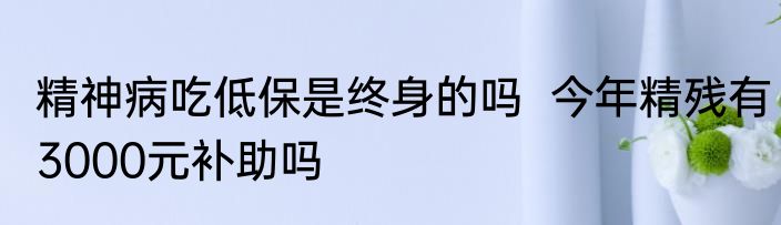 精神病吃低保是终身的吗  今年精残有3000元补助吗