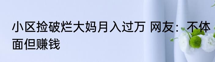 小区捡破烂大妈月入过万 网友：不体面但赚钱