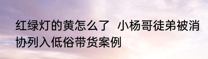 红绿灯的黄怎么了  小杨哥徒弟被消协列入低俗带货案例