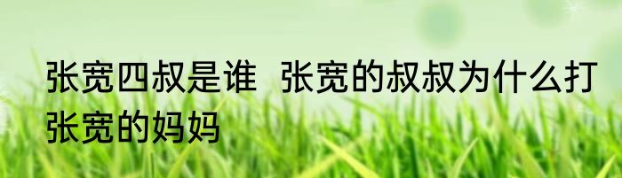 张宽四叔是谁  张宽的叔叔为什么打张宽的妈妈