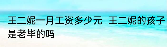 王二妮一月工资多少元  王二妮的孩子是老毕的吗
