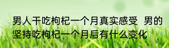 男人干吃枸杞一个月真实感受  男的坚持吃枸杞一个月后有什么变化
