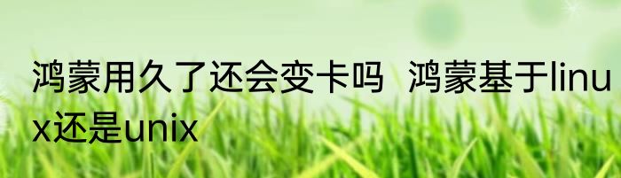 鸿蒙用久了还会变卡吗  鸿蒙基于linux还是unix