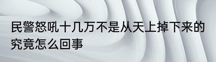 民警怒吼十几万不是从天上掉下来的  究竟怎么回事