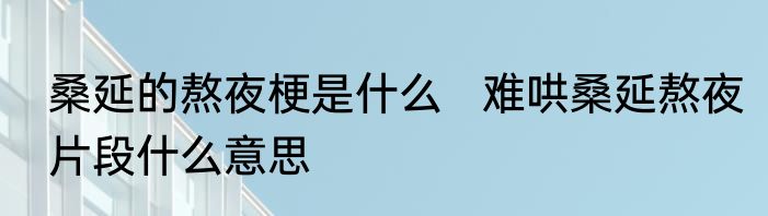 桑延的熬夜梗是什么   难哄桑延熬夜片段什么意思