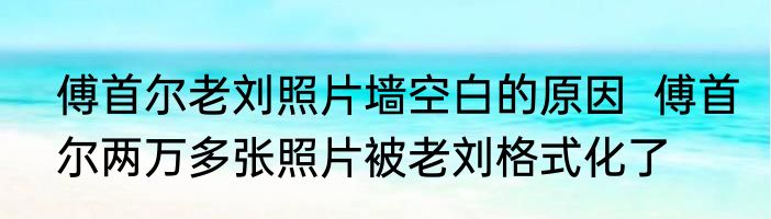 傅首尔老刘照片墙空白的原因  傅首尔两万多张照片被老刘格式化了 