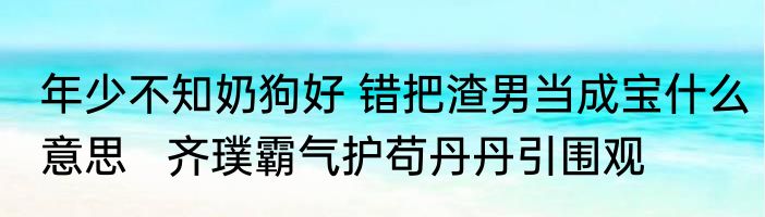 年少不知奶狗好 错把渣男当成宝什么意思   齐璞霸气护苟丹丹引围观 