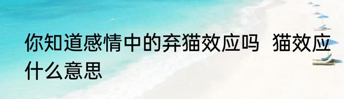 你知道感情中的弃猫效应吗  猫效应什么意思