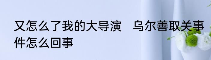 又怎么了我的大导演   乌尔善取关事件怎么回事