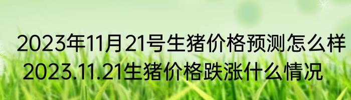 2023年11月21号生猪价格预测怎么样 2023.11.21生猪价格跌涨什么情况