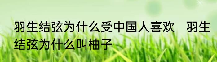 羽生结弦为什么受中国人喜欢   羽生结弦为什么叫柚子