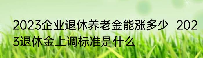 2023企业退休养老金能涨多少  2023退休金上调标准是什么