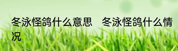 冬泳怪鸽什么意思   冬泳怪鸽什么情况
