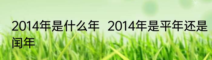 2014年是什么年  2014年是平年还是闰年