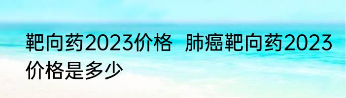 靶向药2023价格  肺癌靶向药2023价格是多少
