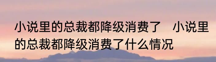 小说里的总裁都降级消费了   小说里的总裁都降级消费了什么情况