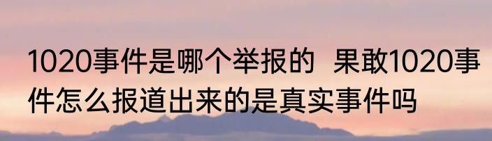 1020事件是哪个举报的  果敢1020事件怎么报道出来的是真实事件吗