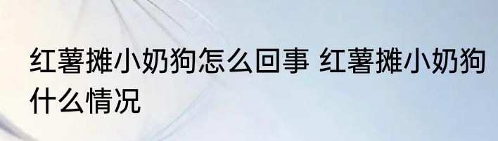 红薯摊小奶狗怎么回事 	红薯摊小奶狗什么情况