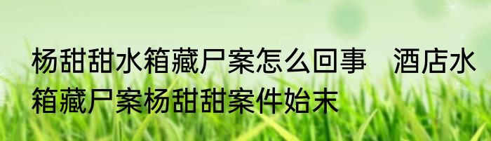 杨甜甜水箱藏尸案怎么回事   酒店水箱藏尸案杨甜甜案件始末