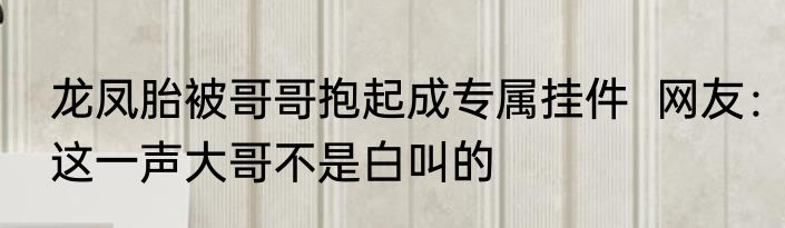 龙凤胎被哥哥抱起成专属挂件  网友：这一声大哥不是白叫的