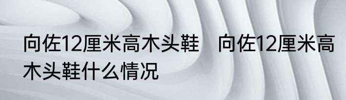 向佐12厘米高木头鞋   向佐12厘米高木头鞋什么情况