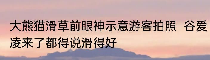 大熊猫滑草前眼神示意游客拍照  谷爱凌来了都得说滑得好  
