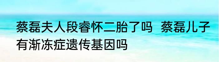 蔡磊夫人段睿怀二胎了吗  蔡磊儿子有渐冻症遗传基因吗