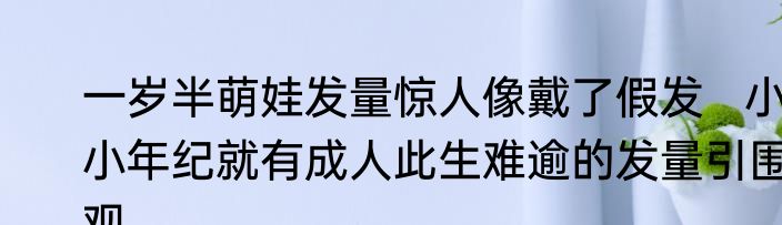 一岁半萌娃发量惊人像戴了假发   小小年纪就有成人此生难逾的发量引围观