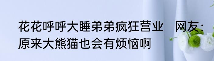 花花呼呼大睡弟弟疯狂营业   网友：原来大熊猫也会有烦恼啊