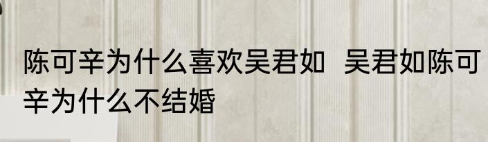 陈可辛为什么喜欢吴君如  吴君如陈可辛为什么不结婚