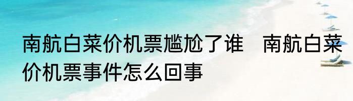 南航白菜价机票尴尬了谁   南航白菜价机票事件怎么回事