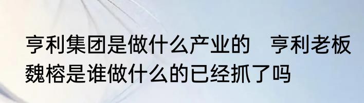 亨利集团是做什么产业的   亨利老板魏榕是谁做什么的已经抓了吗