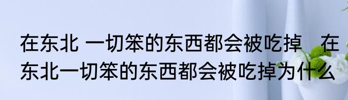 在东北 一切笨的东西都会被吃掉   在东北一切笨的东西都会被吃掉为什么