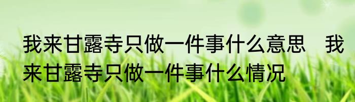 我来甘露寺只做一件事什么意思   我来甘露寺只做一件事什么情况