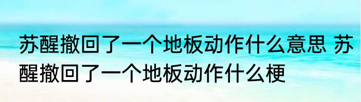 苏醒撤回了一个地板动作什么意思 苏醒撤回了一个地板动作什么梗