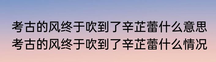 考古的风终于吹到了辛芷蕾什么意思 	考古的风终于吹到了辛芷蕾什么情况