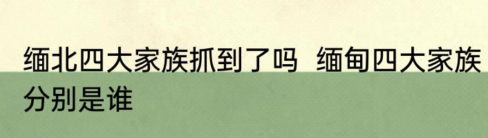 缅北四大家族抓到了吗  缅甸四大家族分别是谁