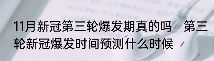 11月新冠第三轮爆发期真的吗   第三轮新冠爆发时间预测什么时候