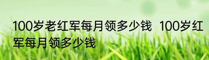 100岁老红军每月领多少钱  100岁红军每月领多少钱