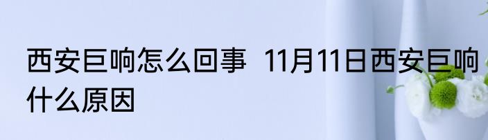 西安巨响怎么回事  11月11日西安巨响什么原因