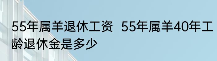 55年属羊退休工资  55年属羊40年工龄退休金是多少